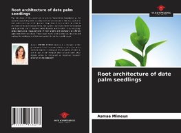 Root architecture of date palm seedlings