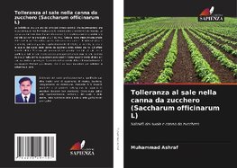 Tolleranza al sale nella canna da zucchero (Saccharum officinarum L)