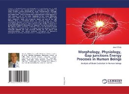 Morphology, Physiology, Gap junctions Energy Proceses in Human Beings