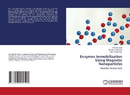 Enzymes Immobilization Using Magnetic Nanoparticles