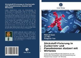 Stickstoff-Fixierung in Zuckerrohr und Pseudomonas stutzeri mit Wirtsreis