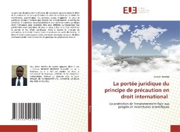 La portée juridique du principe de précaution en droit international