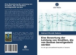 Eine Bewertung der Leistung von Krediten, die von Banken bereitgestellt werden