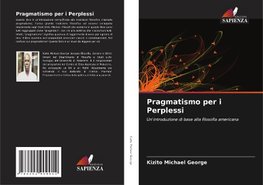 Pragmatismo per i Perplessi