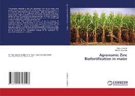 Agronomic Zinc Biofortification in maize