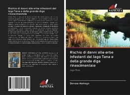 Rischio di danni alle erbe infestanti del lago Tana e della grande diga rinascimentale