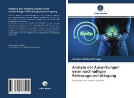 Analyse der Auswirkungen einer nachhaltigen Fahrzeugdurchdringung