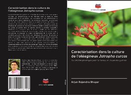 Caractérisation dans la culture de l'oléagineux Jatropha curcas