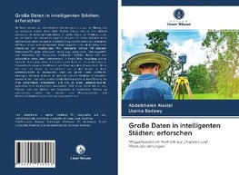 Große Daten in intelligenten Städten: erforschen