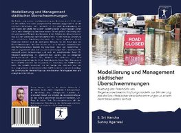 Modellierung und Management städtischer Überschwemmungen