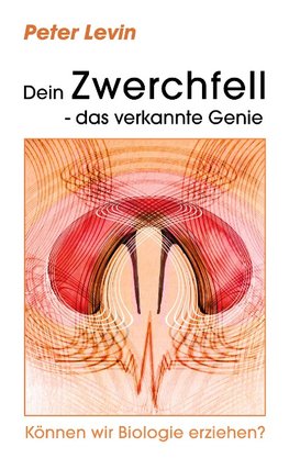 Dein Zwerchfell - das verkannte Genie