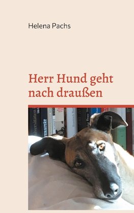 Herr Hund geht nach draußen