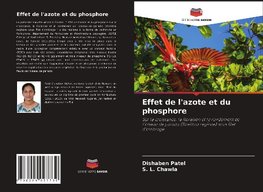 Effet de l'azote et du phosphore