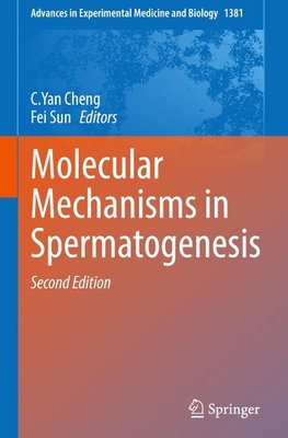 Molecular Mechanisms in Spermatogenesis