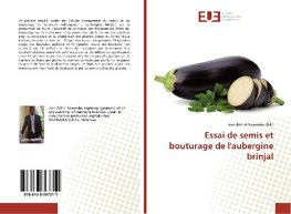 Essai de semis et bouturage de l'aubergine brinjal