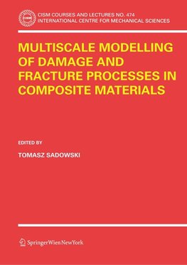 Multiscale Modelling of Damage and Fracture Processes in Composite Materials