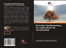 Principes fondamentaux de l'agriculture de conservation