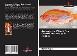 Androgenic Plants Sex Control Pathways in Tilapia