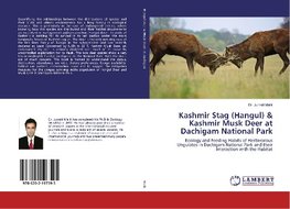 Kashmir Stag (Hangul) & Kashmir Musk Deer at Dachigam National Park