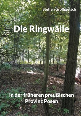 Die Ringwälle