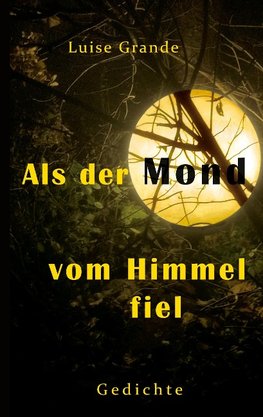 Als der Mond vom Himmel fiel