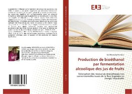 Production de bioéthanol par fermentation alcoolique des jus de fruits