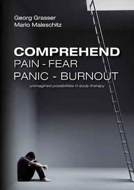 Comprehend Pain-Fear-Panic-Burnout