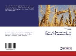 Effect of Azoxystrobin on Wheat (Triticum aestivum L.)