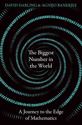 The Biggest Number in the World