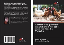 Anatomia dei principali organi linfoidi nel pollo da carne Hansli e Vencobb