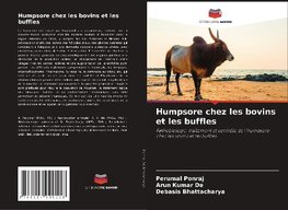 Humpsore chez les bovins et les buffles