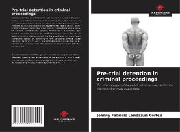 Pre-trial detention in criminal proceedings