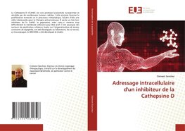 Adressage intracellulaire d'un inhibiteur de la Cathepsine D