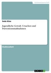 Jugendliche Gewalt. Ursachen und Präventionsmaßnahmen