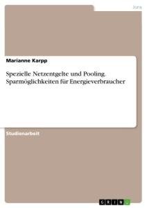 Spezielle Netzentgelte und Pooling. Sparmöglichkeiten für Energieverbraucher