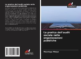 La pratica dell'audit sociale nelle organizzazioni pubbliche