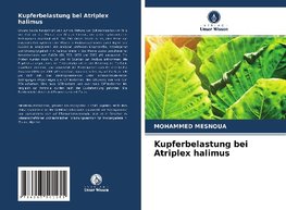 Kupferbelastung bei Atriplex halimus