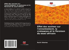 Effet des auxines sur l'enracinement, la croissance et la floraison du souci africain