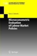 Microeconometric Evaluation of Labour Market Policies