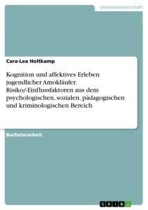 Kognition und affektives Erleben jugendlicher Amokläufer. Risiko/-Einflussfaktoren aus dem psychologischen, sozialen, pädagogischen und kriminologischen Bereich