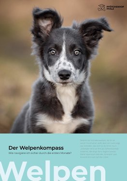 Der Welpenkompass