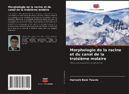 Morphologie de la racine et du canal de la troisième molaire