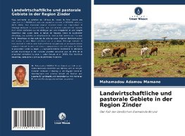 Landwirtschaftliche und pastorale Gebiete in der Region Zinder