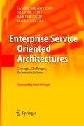 Enterprise Service Oriented Architectures