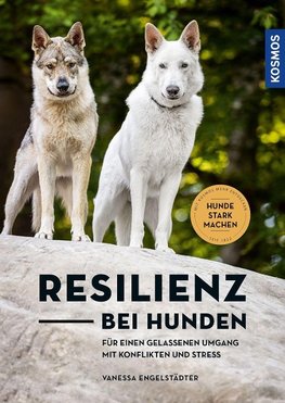 Resilienz bei Hunden