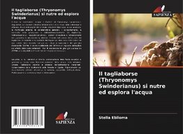 Il tagliaborse (Thryonomys Swinderianus) si nutre ed esplora l'acqua