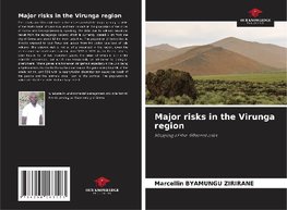 Major risks in the Virunga region