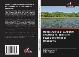 MODELLAZIONE DI CARBONIO ORGANICO NEI SEDIMENTI DELLE ZONE UMIDE DI MANGROVIE