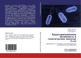 Transkripcionnaq aktiwnost'  w geneticheskih lokusah E.coli