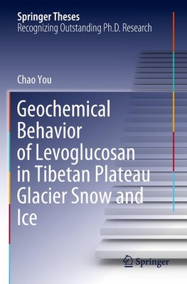 Geochemical Behavior of Levoglucosan in Tibetan Plateau Glacier Snow and Ice